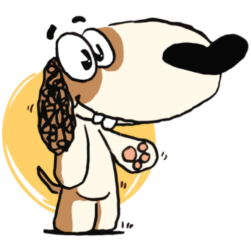 indie dog pet food human-grade