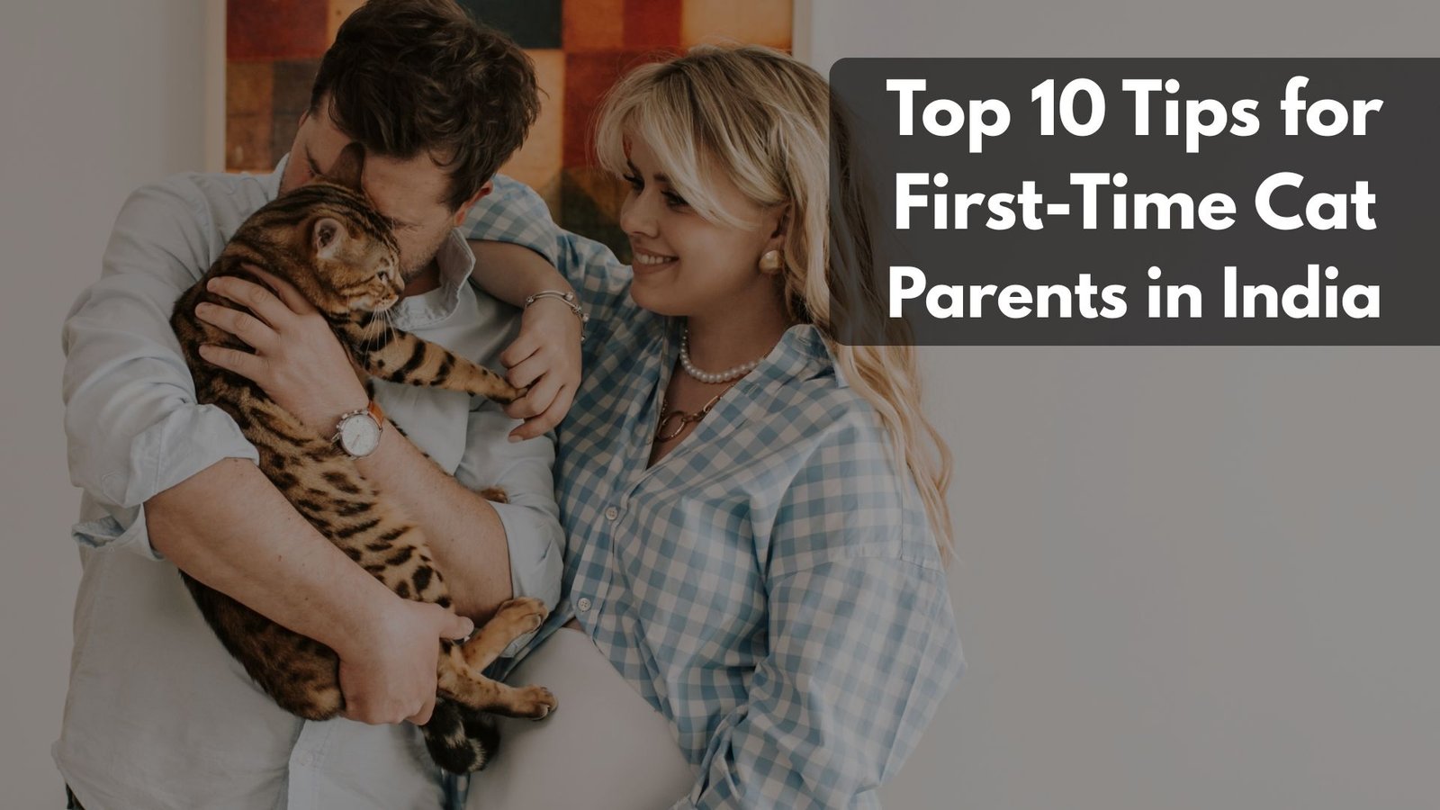 A first-time cat owner sitting on the floor playing with a kitten using a wand toy in an Indian living room.