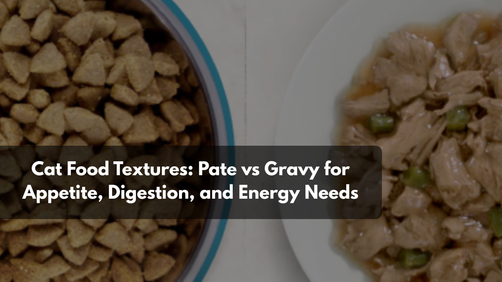 Two bowls of cat food: one with smooth IndieCat pate and one with chunky gravy, side by side.