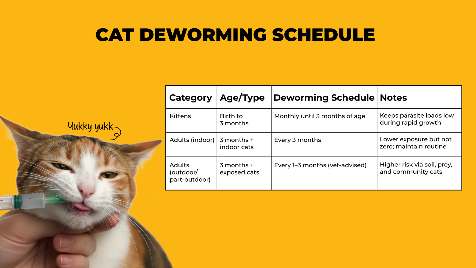 CatVaccinationDeworming