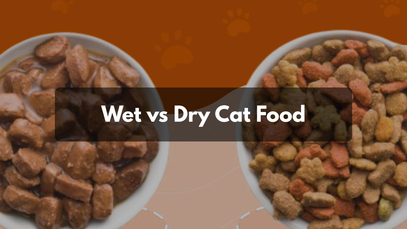 A split image showing crunchy kibble on one side and juicy IndieCat wet food on the other, with a cat choosing the wet bowl.